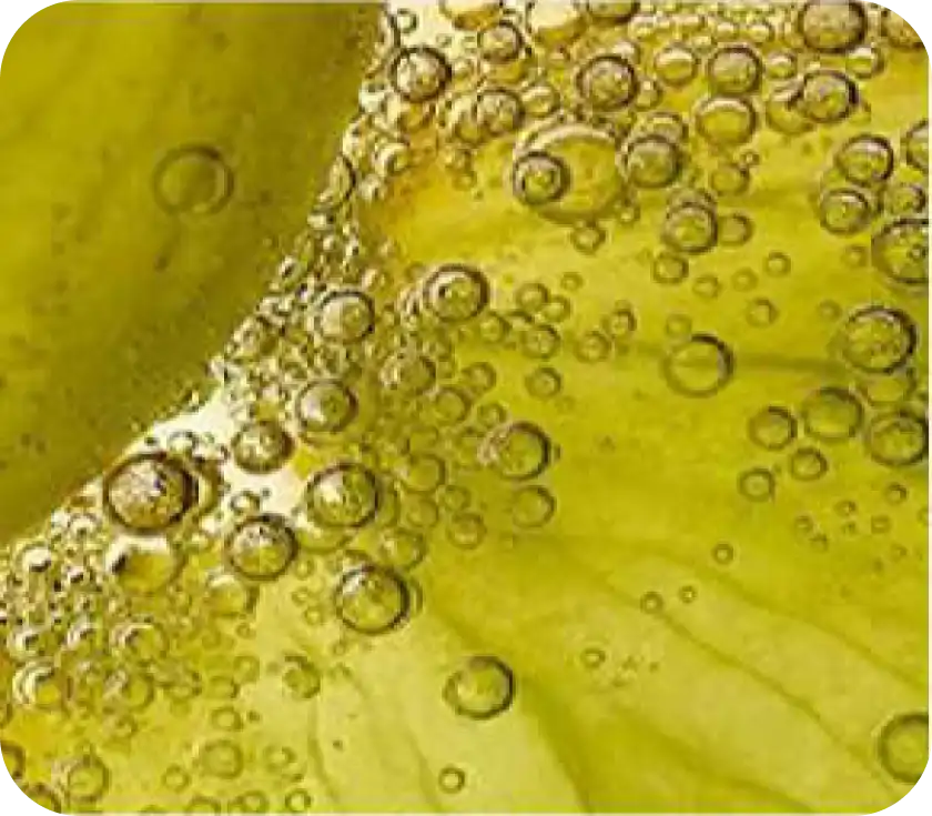 Scalp Probiotic Soothing MNB