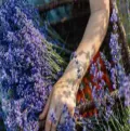 Ethical standards for sustainable harvesting