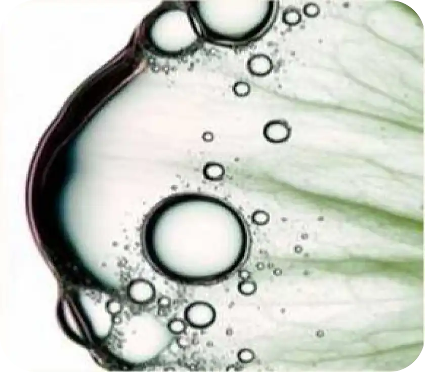 Anti-Pollution Hair Algae P